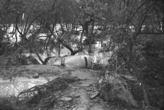 Humber River, looking east, just south of Old Mill Road Toronto, Ontario