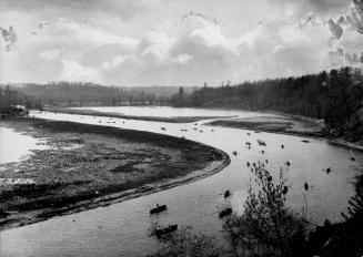 Humber River, looking northwest from north of The Queensway