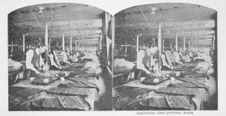 Eaton, T., Company, Louisa St., northeast corner Downey's Lane, Interior