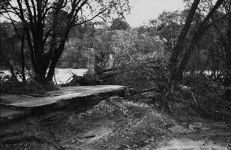 Humber River, looking east to Old Mill Road bridge