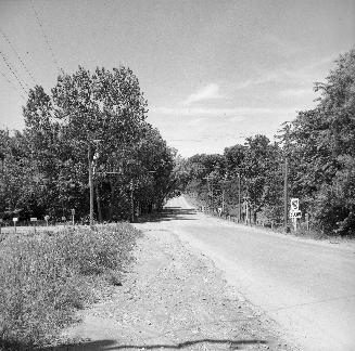 Steeles Avenue E., looking west from e. of Bayview Avenue