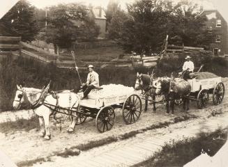 Carts, probably in the Parkdale area