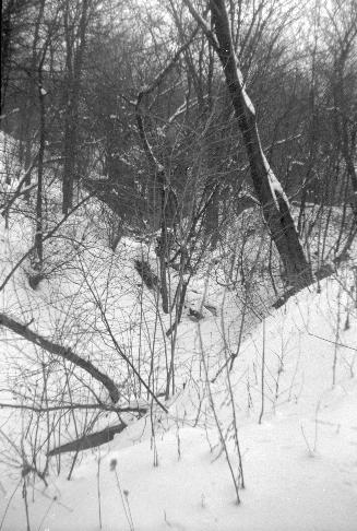 Millwood Mill, Humber River, west side (west of Humber Boulevard), below Woodhaven Heights, ruins, Toronto, Ontario