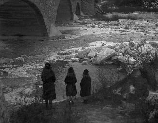 Humber River, looking west, north of Old Mill Road bridge, Toronto, Ontario