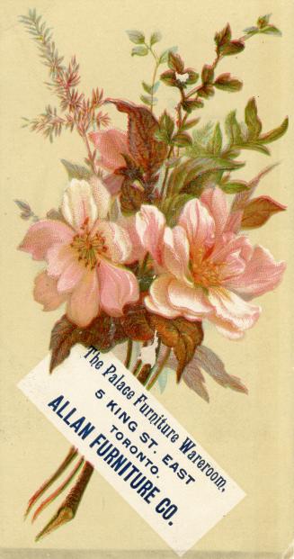 A bouquet of pink flowers with green and red leaves