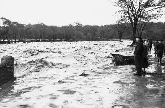 Humber River, looking southeast, just south of Old Dundas St