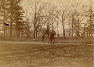 Queen's Park, looking northeast, showing northeast corner of park