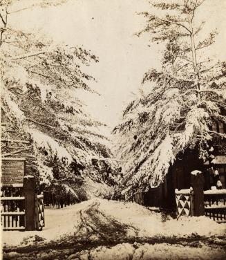 Gates, College St., west side of Yonge Street