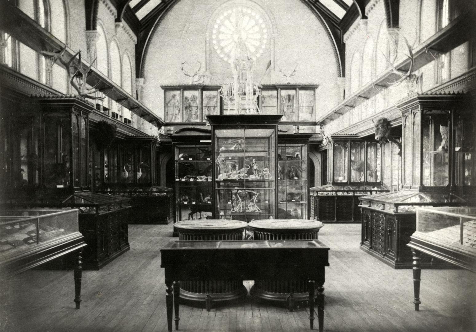 University College, Interior, west hall (museum)