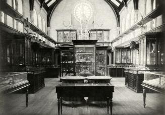 University College, Interior, west hall (museum)