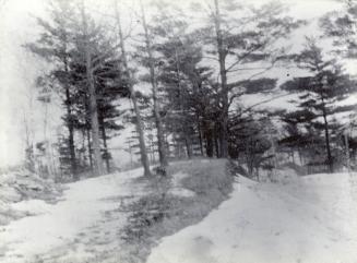 Humber River, showing banks, near Lake Ontario