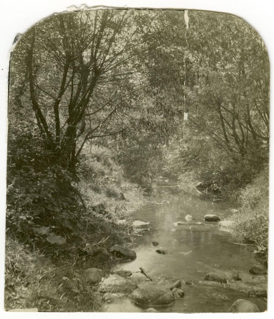 Image shows a river view with trees on both sides.