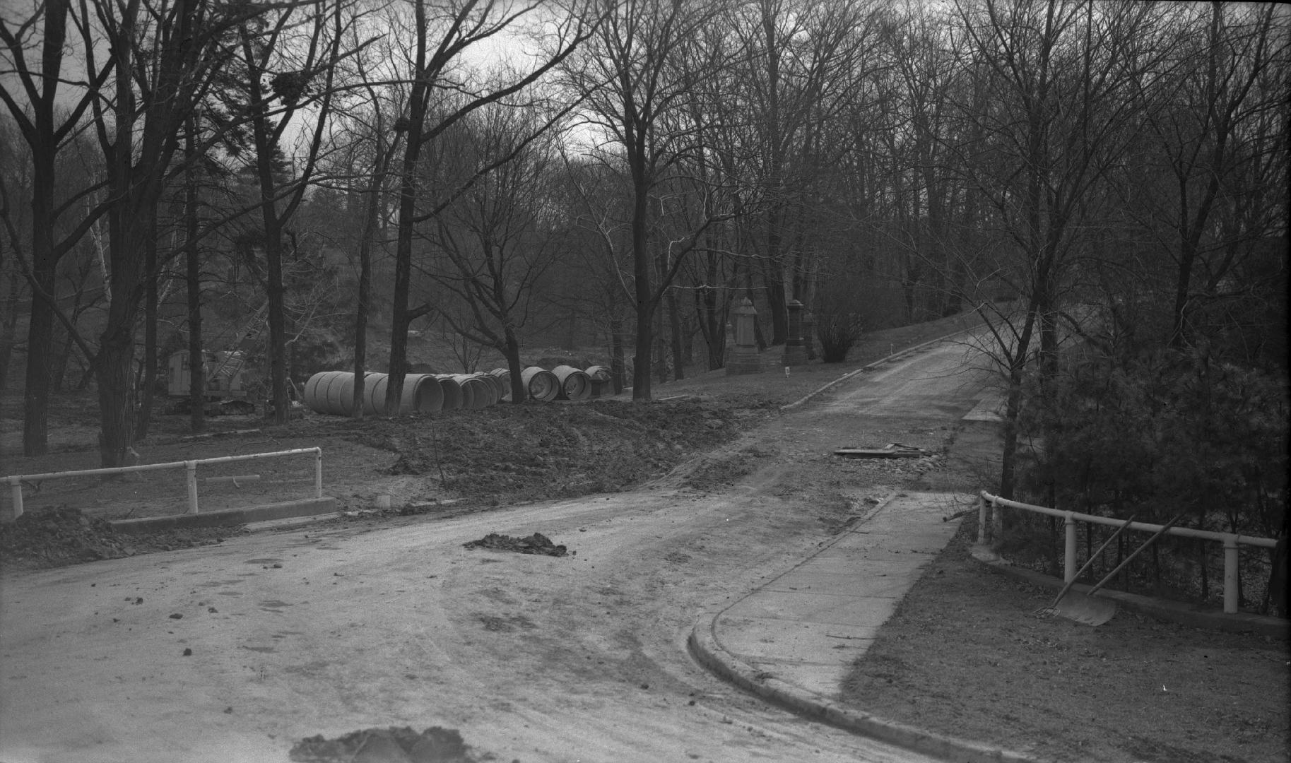 Image shows a road view with trees on both sides.