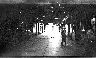 Yonge Street Arcade, Yonge Street, east side, opposite Temperance St