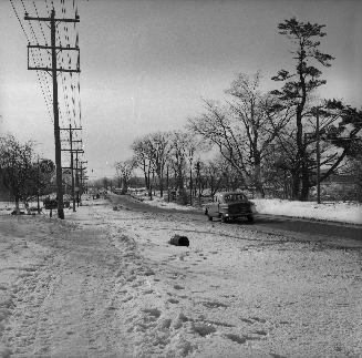 Jane St., looking south from north of William Cragg Drive