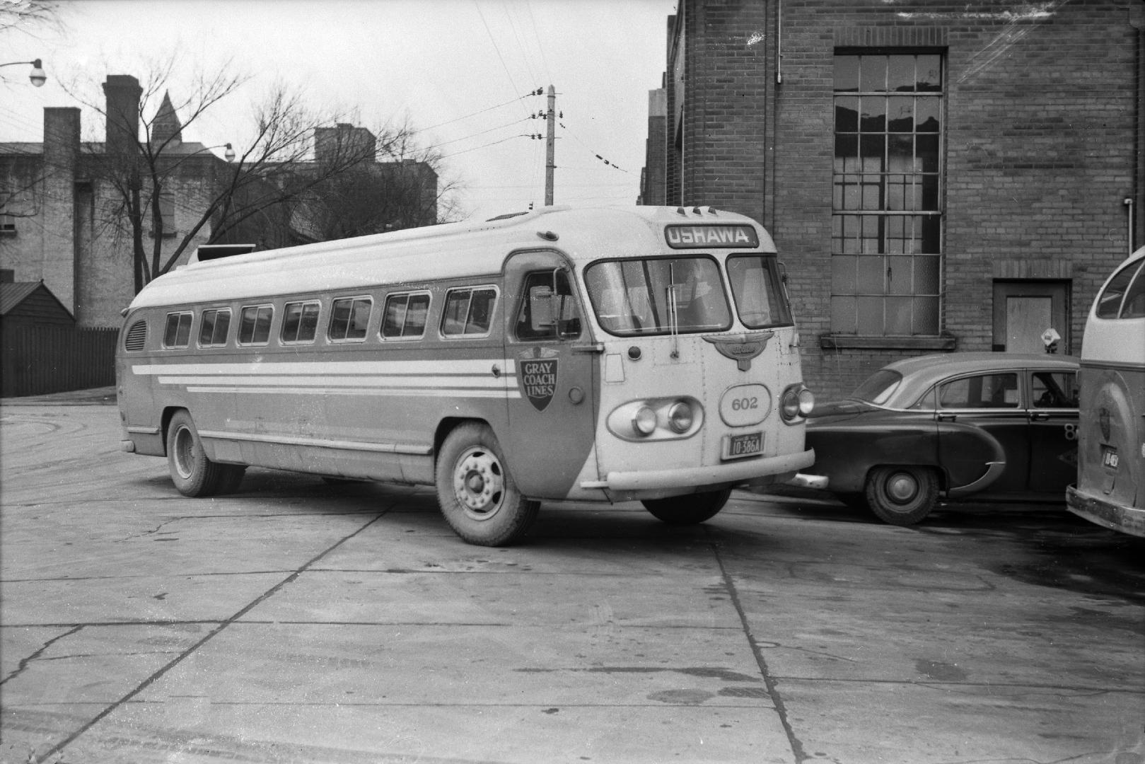 Gray Coach Lines, bus #602, apparently looking north on Elizabeth St