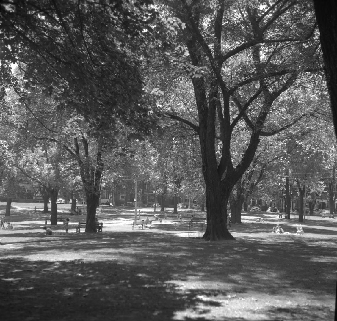 Riverdale Park, Zoo, wading pool, looking south to Carlton St