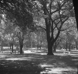 Riverdale Park, Zoo, wading pool, looking south to Carlton St