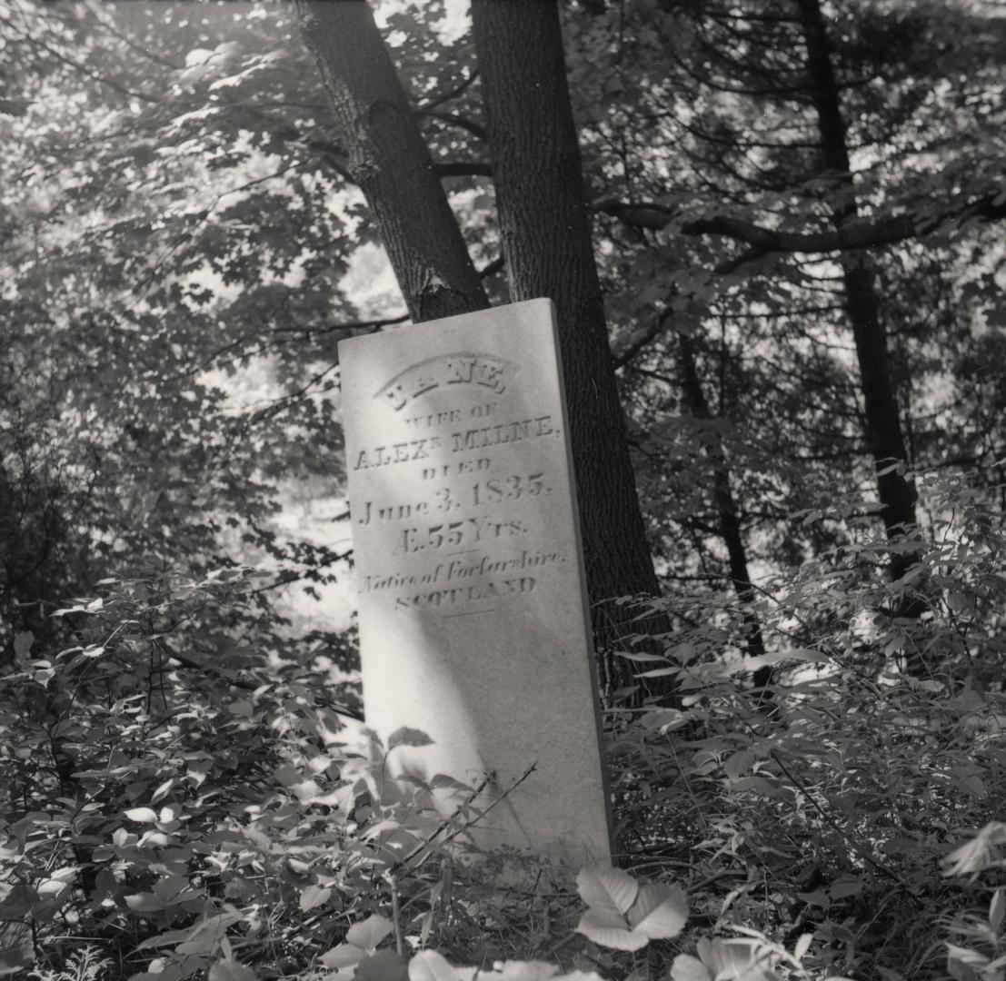 Image shows a tomb stone for Alex Milne.