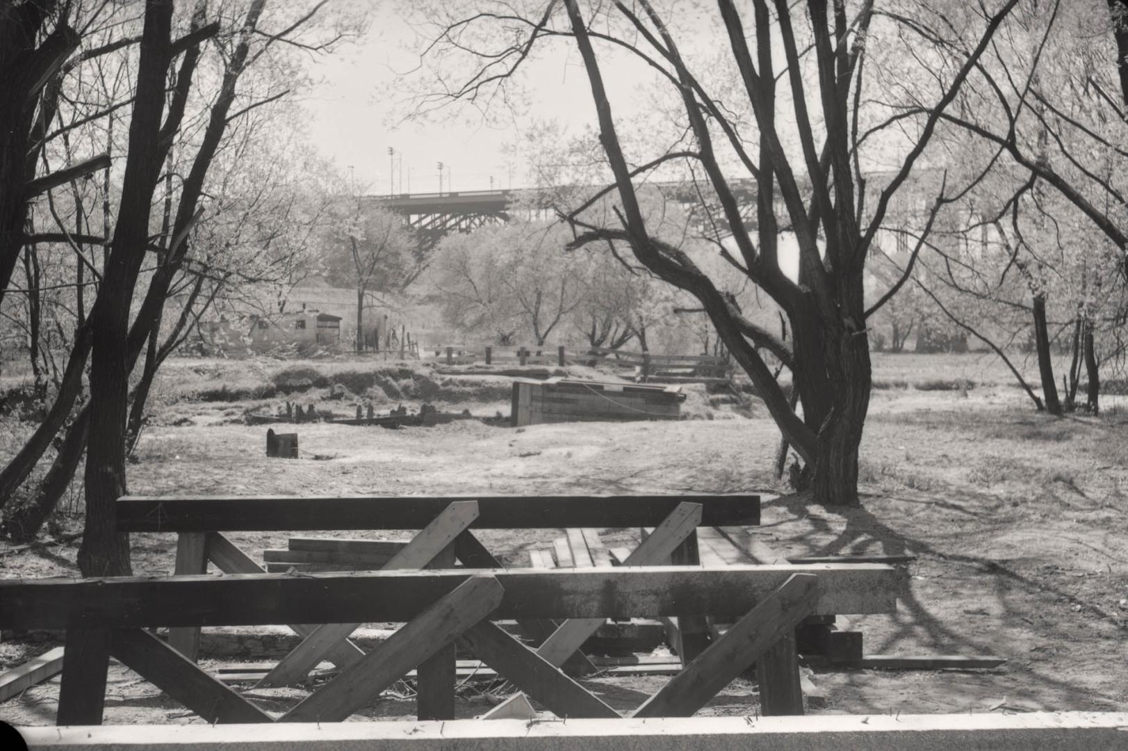 Image shows some trees with a river in the background.