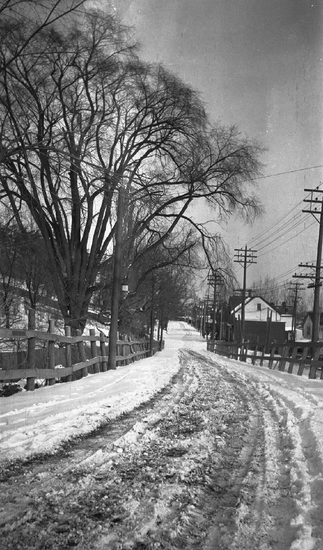 Image shows a street view in winter with some big trees on the left and some houses on the righ…