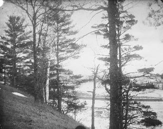 Humber River, looking towards Lake Ontario