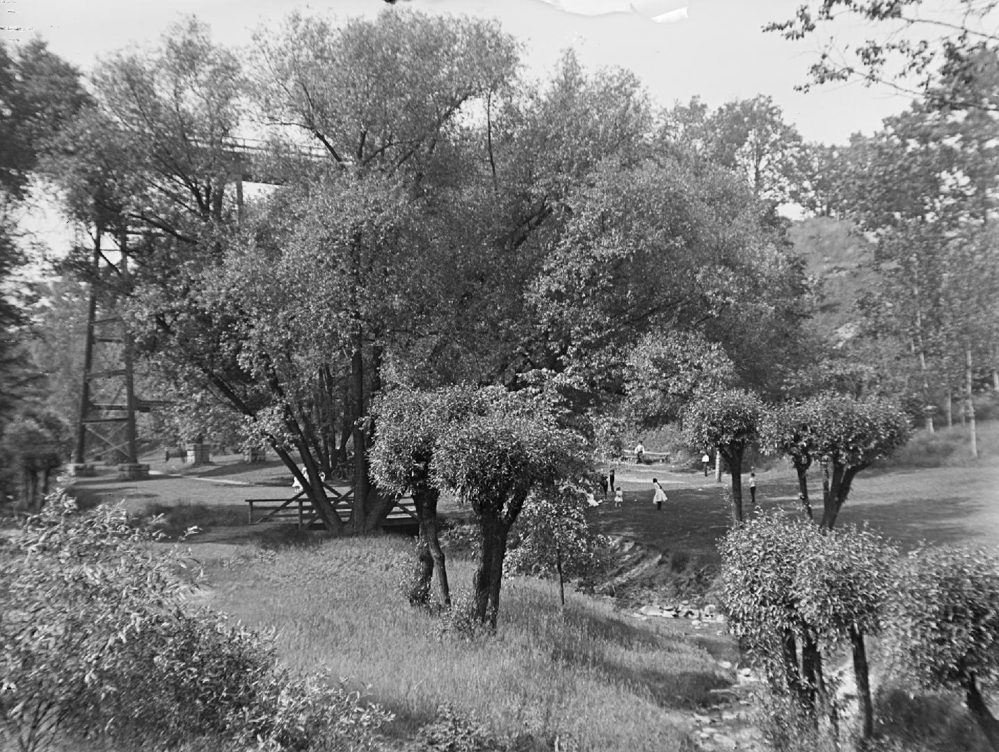 Image shows a lot of trees and some lawn space in the park.