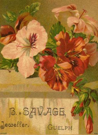 Illustration of pink and red flowers with green leaves. Some flowers are closed and others in f…