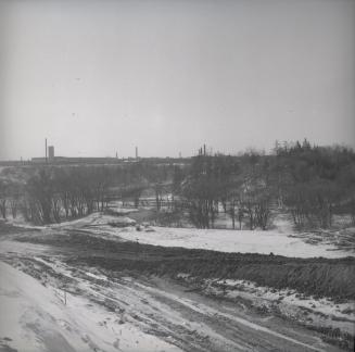 Image shows the ground covered with snow. There are some trees in the background.