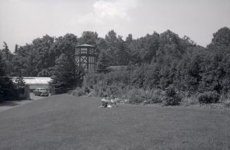 Image shows a lot of lawn space, trees and a road leading towards the gates.