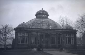 Allan Gardens, greenhouse. Toronto, Ontario