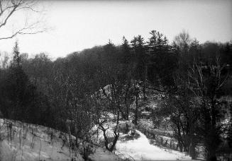 Image shows trees on the hills covered in winter.