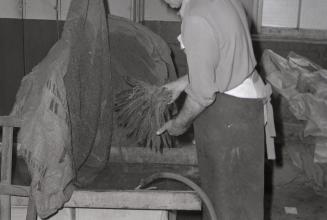 Rea, Hermanos, cigar factory, Gilead Place, east side, INTERIOR