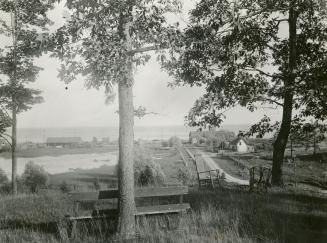 Ellis Avenue, looking south from north of Ellis Gardens