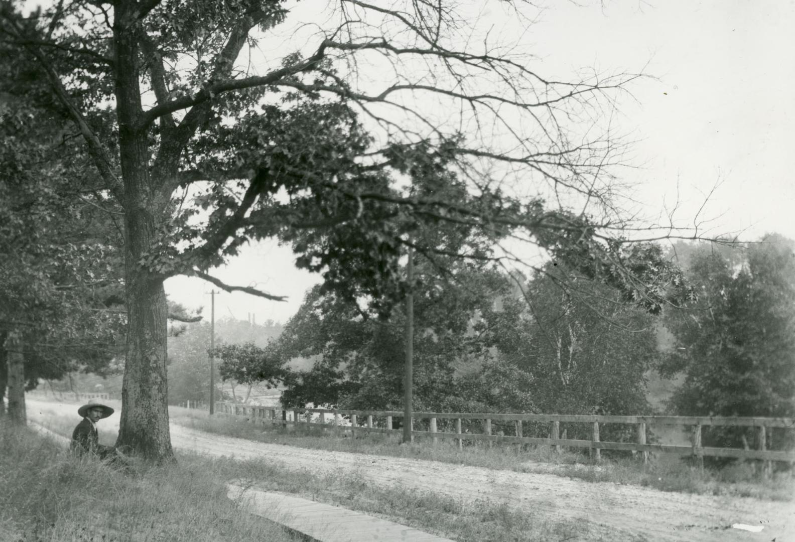 Ellis Avenue, looking south from south of St