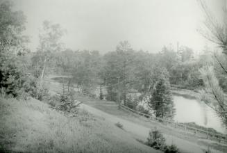 Ellis Avenue, looking south from north of Ellis Gardens, showing Catfish Pond