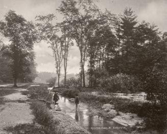 Image shows a few people in the ravine.