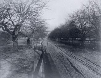 Woodfield Road., alongside Jesse Ashbridge farm