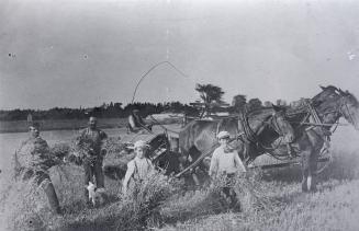 Lawrence, John, farm, Yonge Street, northwest corner of Lawrence Avenue West. Image shows a num…