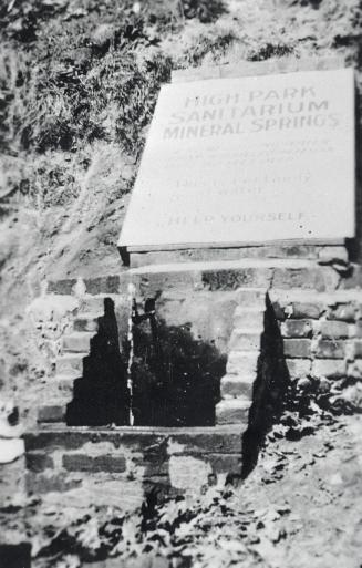 High Park Sanitarium, Gothic Avenue, west side, west of Quebec Avenue, mineral springs