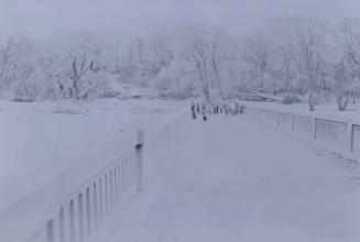 Humber River, looking south across St