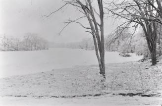 Humber River, looking northwest from Lawrence Avenue, Toronto, Ontario