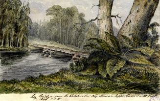 Log Bridge over the Coldwater River, Medonte Township, Ontario