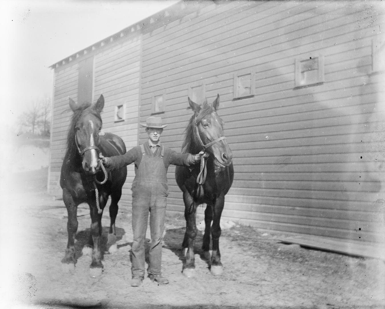 Grenadier Ice & Coal Co., Lakeshore Road., north side, e. of Ellis Avenue, showing horses used in ice cutting