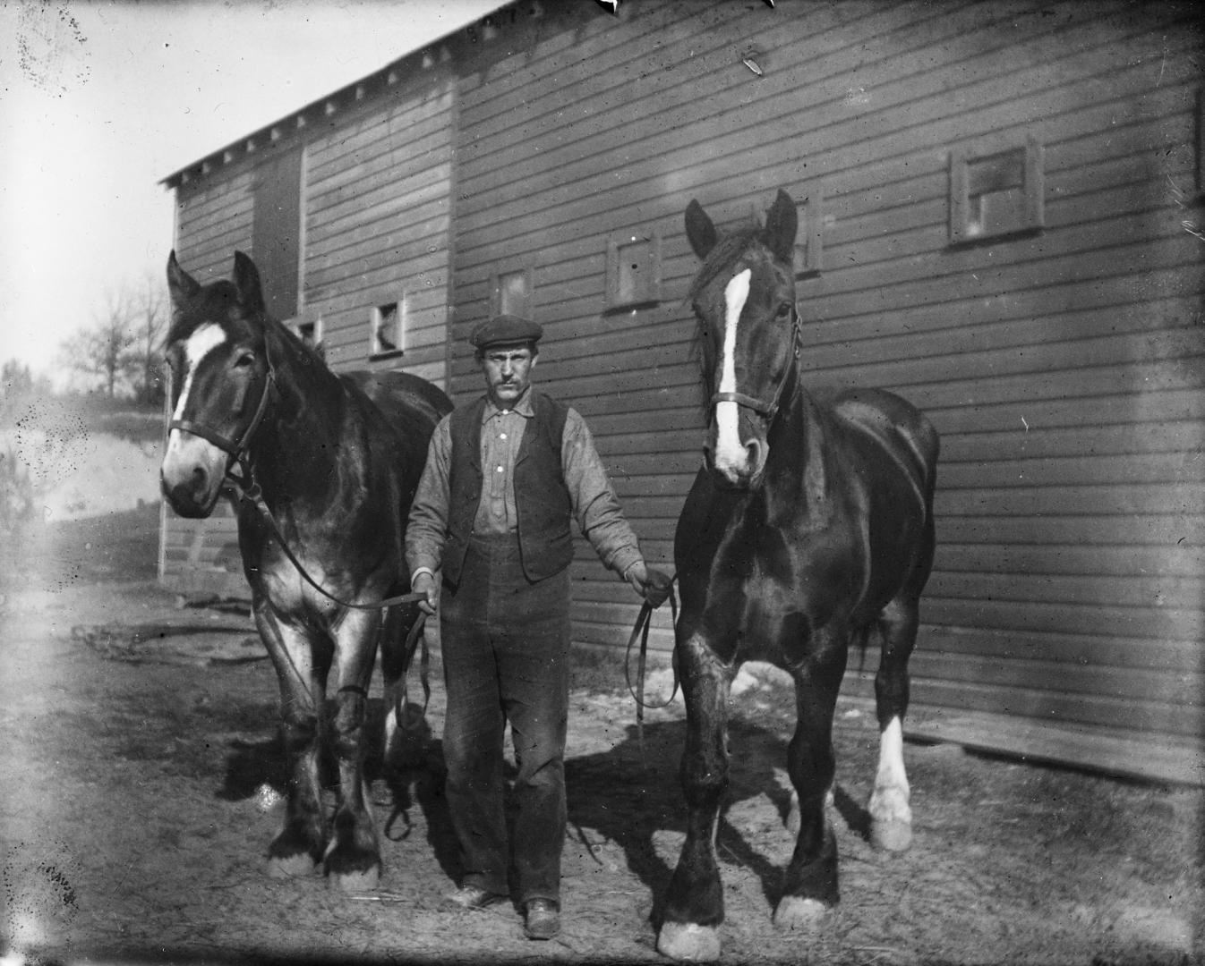 Grenadier Ice & Coal Co., Lakeshore Road., north side, e. of Ellis Avenue, showing horses used in ice cutting