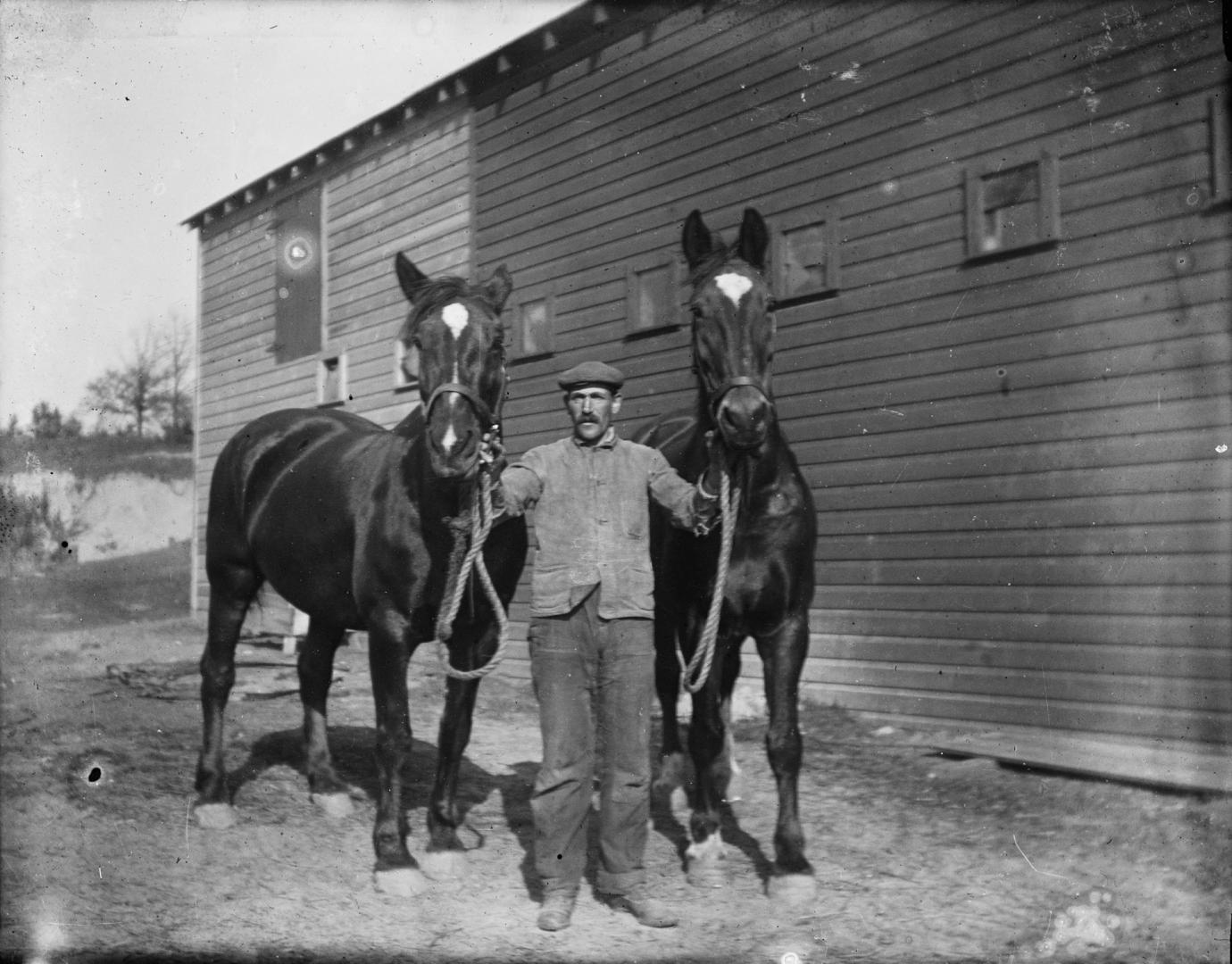 Grenadier Ice & Coal Co., Lakeshore Road., north side, e. of Ellis Avenue, showing horses used in ice cutting