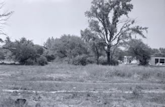 View north from Gibson House