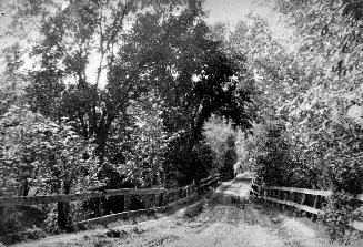 Image shows Sheppard Avenue bridge over the Don River near Bathurst Street, Toronto, Ontario. 