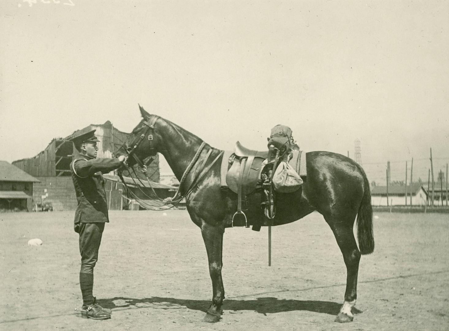 Royal Canadian Dragoons, Stanley Barracks, Toronto, Ontario