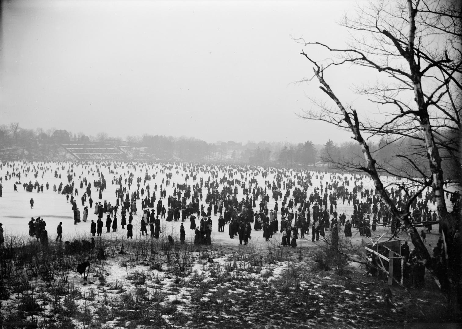 High Park, Grenadier Pond